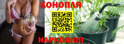 крисы Ливны