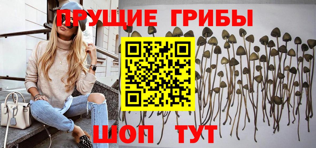 Иваново  Псилоцибиновые грибы мухоморы  Галлюциногенные грибы мицелий  Вход с VPN 